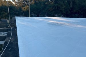 4-Oct-28-2024-22-47-05-jhnF