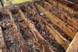 10-Oct-26-2024-13-43-53-uaFJ