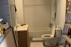 Newton Before
