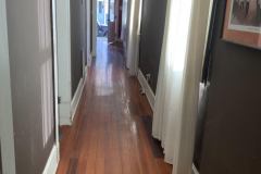 Newton Before